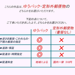 オリーブ、カモミール、小麦の穂、ホップのミニブーケ  (354)　 10枚目の画像