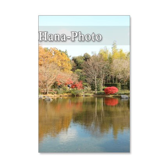 1171) 秋の風景　1 ポストカード5枚組 3枚目の画像