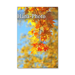 1171) 秋の風景　1 ポストカード5枚組 4枚目の画像