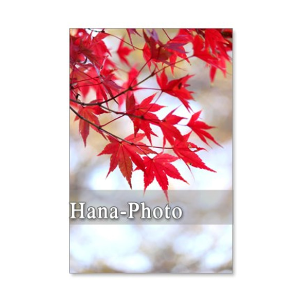 1007)　駒ケ岳からの富士山と風景　　　5枚組ポストカード 4枚目の画像