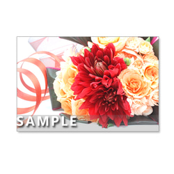 1027）Postcard 5枚組　魅力的な赤い花・華・はな・HANA 1枚目の画像
