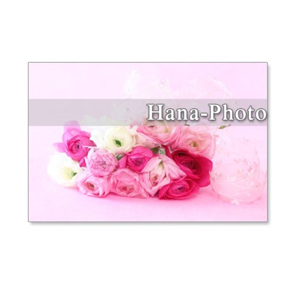 1031）春の花　ラナンキュラスとアネモネ  「セット　5枚選べるポストカード」 3枚目の画像