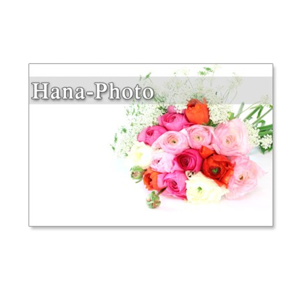 1031）春の花　ラナンキュラスとアネモネ  「セット　5枚選べるポストカード」 4枚目の画像