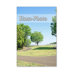 1062）桜の季節の風景　Postcard 5枚組 2枚目の画像
