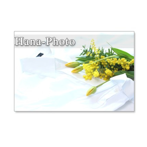 1072）花麦とチューリップ　爽やかな黄色の春　　　ポストカード５枚セット 3枚目の画像