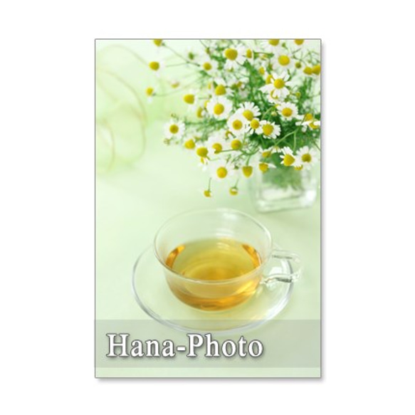 1082)　ハーブカモミールのセット　　5枚選べるポストカード 3枚目の画像