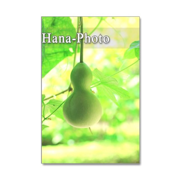 1090) ヒョウタン、萩　緑の風景　ポストカード5枚セット 1枚目の画像