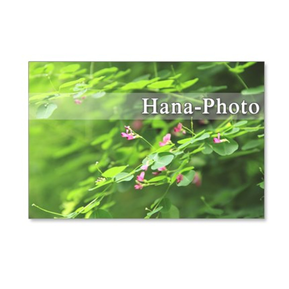 1090) ヒョウタン、萩　緑の風景　ポストカード5枚セット 2枚目の画像