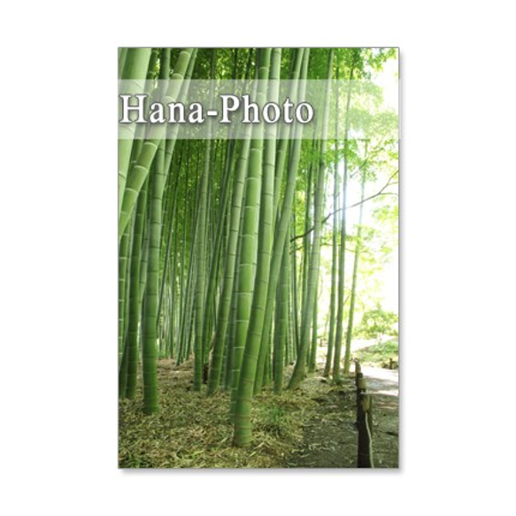 1090) ヒョウタン、萩　緑の風景　ポストカード5枚セット 3枚目の画像