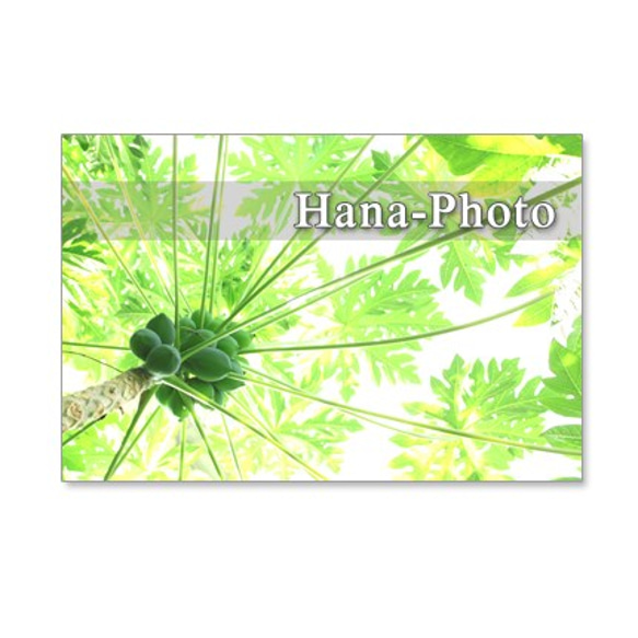 1111)　爽やかな緑の風景　　  ポストカード5枚組　 1枚目の画像