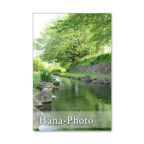 1111)　爽やかな緑の風景　　  ポストカード5枚組　 5枚目の画像