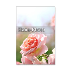 1118)　美しいバラ　　　ポストカード５枚組　 3枚目の画像