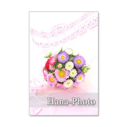1146)　夏の花のアレンジメント　ポストカード5枚組 3枚目の画像