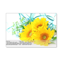 1146)　夏の花のアレンジメント　ポストカード5枚組 5枚目の画像