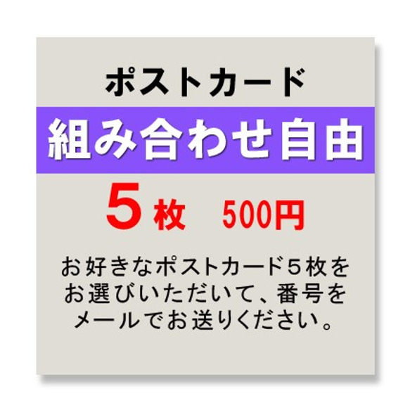 ポストカード５枚組　オーダー用 1枚目の画像