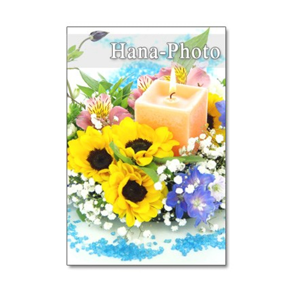 1156) ヒマワリ 7    アレンジメント 　　ポストカード5枚組　 1枚目の画像
