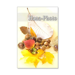1173)  秋の実や葉       ポストカード5枚組　 2枚目の画像