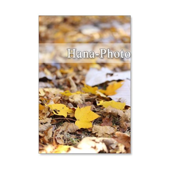 1193)紅葉、黄葉の葉たち　　　ポストカード5枚組　 1枚目の画像
