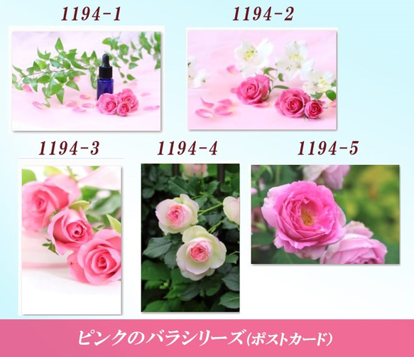 1194) ピンクのバラシリーズ　　　ポストカード5枚組　1 2枚目の画像