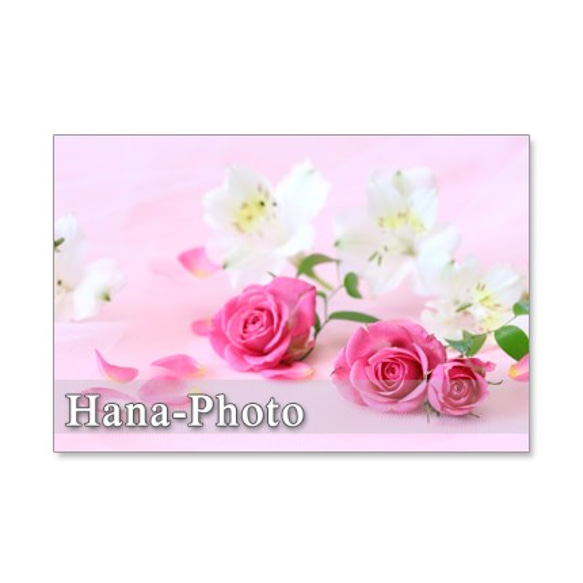 1194) ピンクのバラシリーズ　　　ポストカード5枚組　1 3枚目の画像