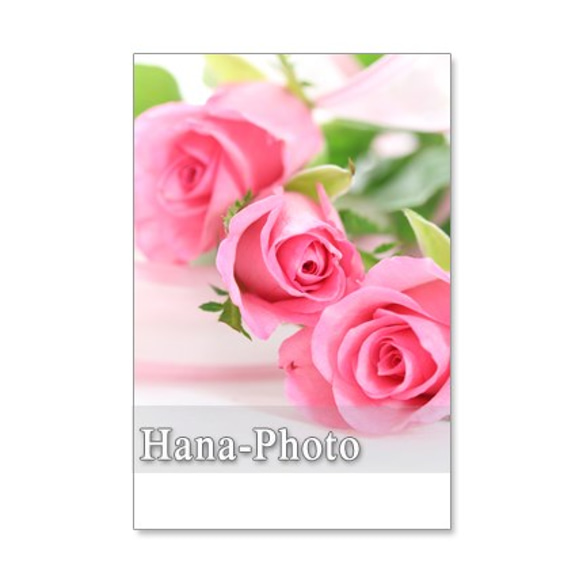 1194) ピンクのバラシリーズ　　　ポストカード5枚組　1 4枚目の画像