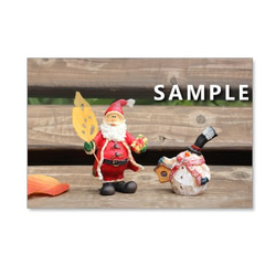 1点限り カモのデコイ （手作りバードカービング） その他置物 Hana