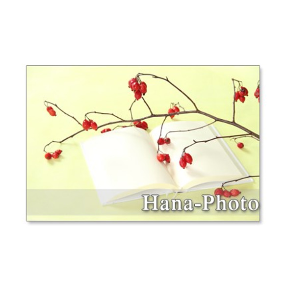 1207)鈴バラの赤い実　　ポストカード5枚組　 2枚目の画像