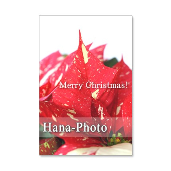 1211）クリスマス　10 　    ポストカード5枚組 3枚目の画像