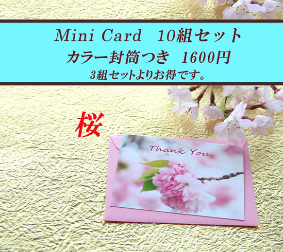 桜のミニカード（カラー封筒つき） 10組セット　　1600円 1枚目の画像