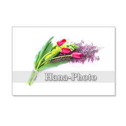 1217）春の花　チューリップ　　5枚組ポストカード 3枚目の画像