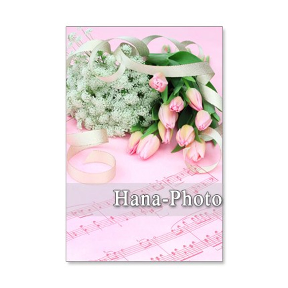 1217）春の花　チューリップ　　5枚組ポストカード 4枚目の画像