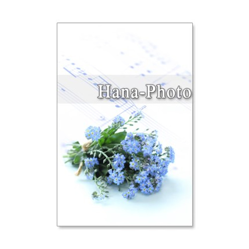 1231) 勿忘草のブーケ ポストカード5枚組 ポストカード Hana