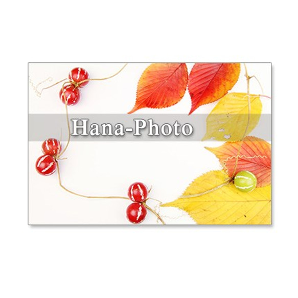 1254）秋の足音    ポストカード5枚組 2枚目の画像