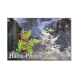 1267) 光あふれる秋の風景　　　5枚組ポストカード 2枚目の画像
