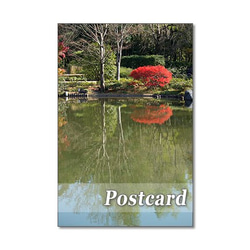 1272) 素敵で華やかな秋      ポストカード5枚組 4枚目の画像