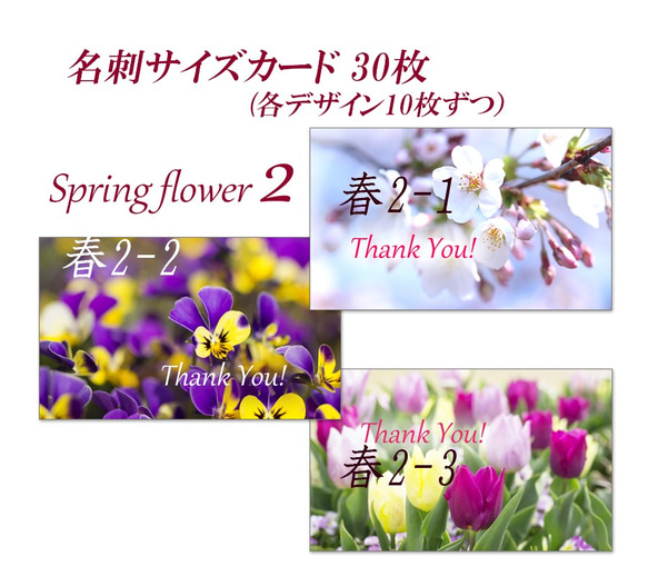 002)  春の花 2　  名刺サイズサンキューカード   30枚 2枚目の画像