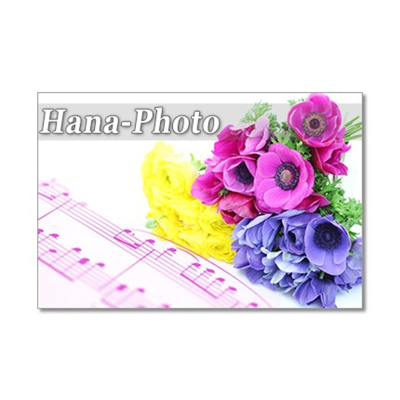 1285）楽譜と花：春の花　       ポストカード５枚セット 5枚目の画像