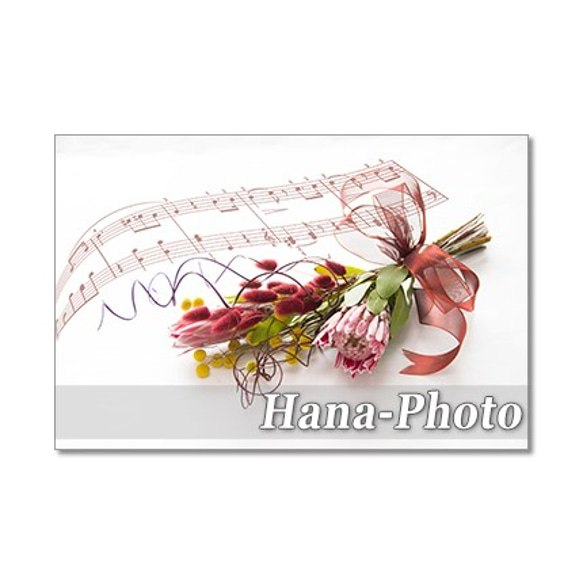 1287) 楽譜と花　バラなど        ポストカード５枚セット 3枚目の画像