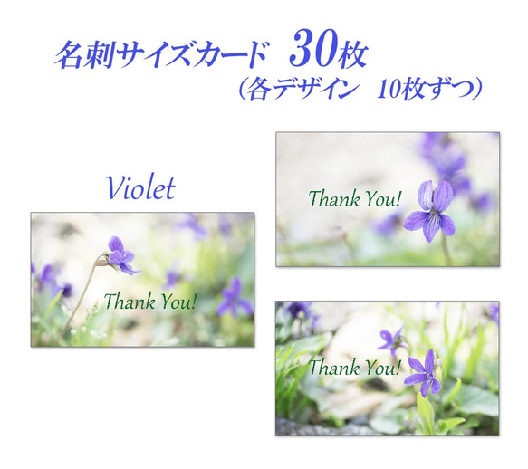008)  すみれ　  名刺サイズサンキューカード   30枚 1枚目の画像