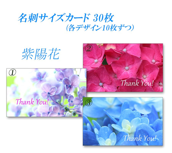 No.013  紫陽花のアップ　  名刺サイズサンキューカード   30枚 2枚目の画像