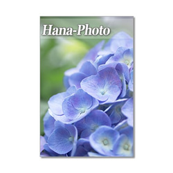 1327) 雨の季節の紫陽花　ポストカード5枚組 2枚目の画像