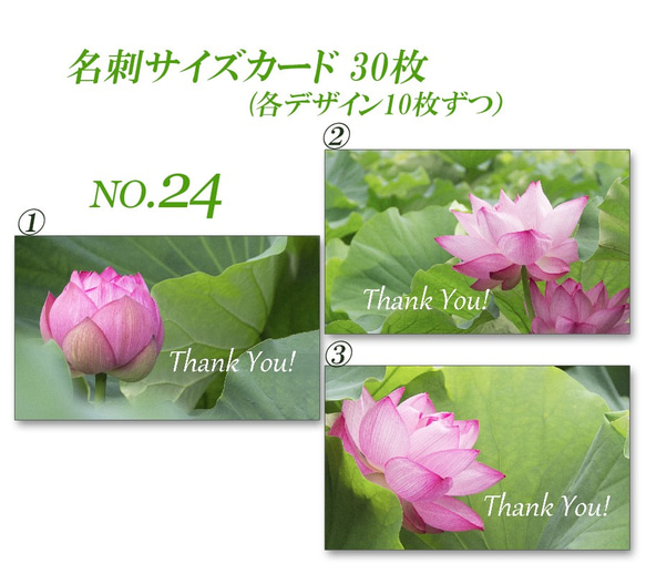 No.24  美しいハスの花　    名刺サイズサンキューカード   30枚 2枚目の画像