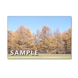 ★1178)　美しい日本の秋　　ポストカード5枚組　再販1 5枚目の画像