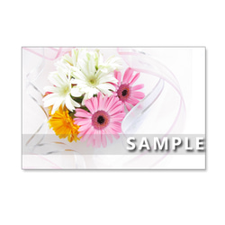 1107) ガーベラとバラの美しい花束　　ポストカード5枚組 1枚目の画像