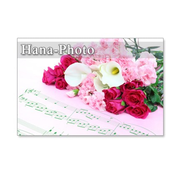 1107) ガーベラとバラの美しい花束　　ポストカード5枚組 4枚目の画像