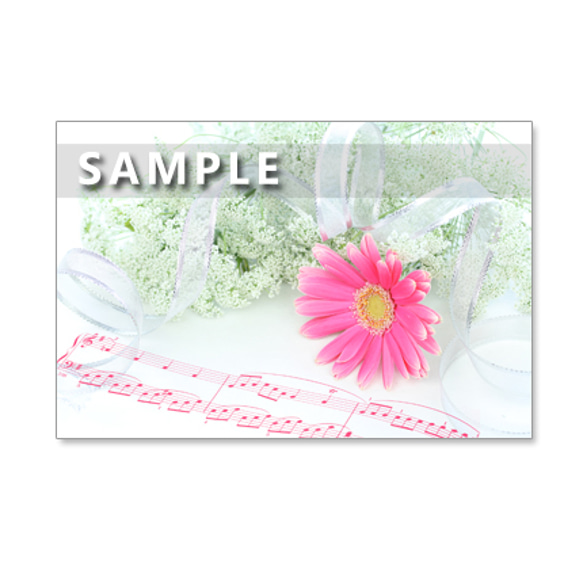 1107) ガーベラとバラの美しい花束　　ポストカード5枚組 5枚目の画像