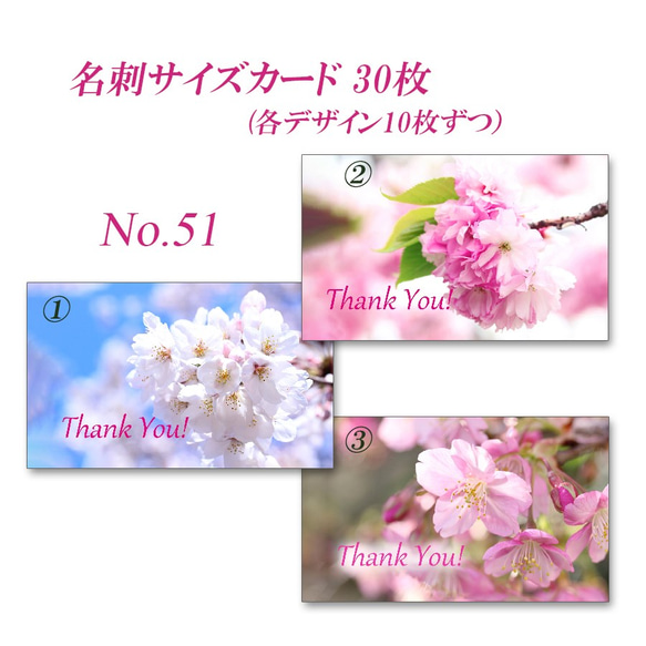 No.51  桜　　  名刺サイズサンキューカード  30枚 2枚目の画像