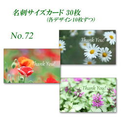 No.072　野の花　  名刺サイズサンキューカード  30枚 1枚目の画像