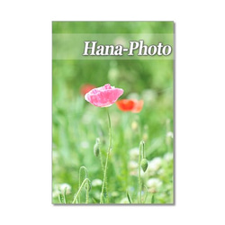 1349) 可憐な野の花たち　ポストカード5枚組 5枚目の画像