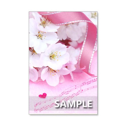 1038）ピンクのキュートな花たち　　　ポストカード5枚組 1枚目の画像